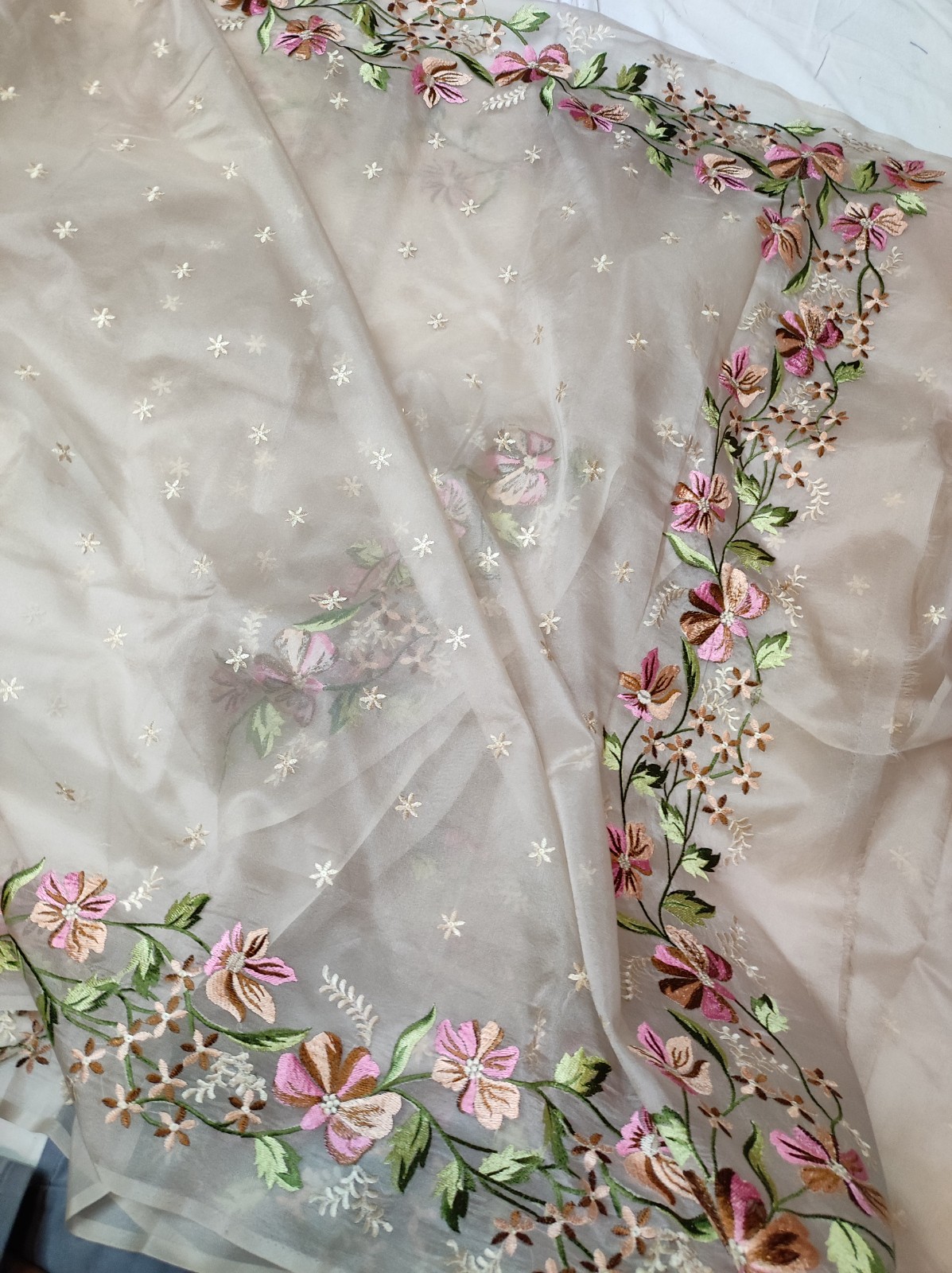 Banarasi Semi Kora Organza Embroidery Saree – Multiple Colours
