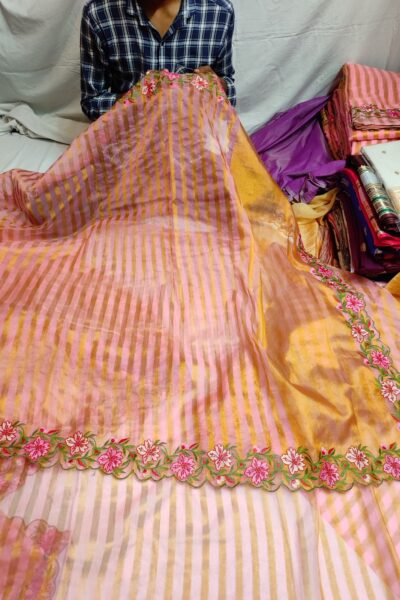 Banarasi Tissue Organza Embroidery Cutwork Saree