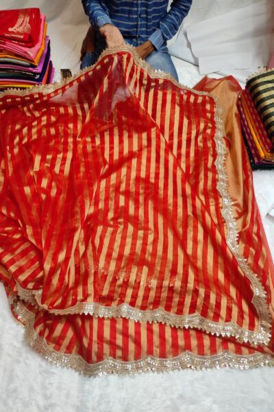 Banarasi Tissue Organza Saree Red & Gold | Lace Border Work with Plain Blouse