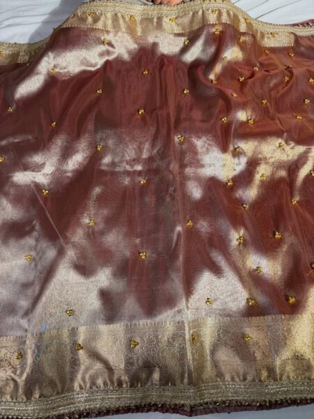 Banarasi Glass Tissue Ghungroo Work Saree | Trending Banarasi Saree